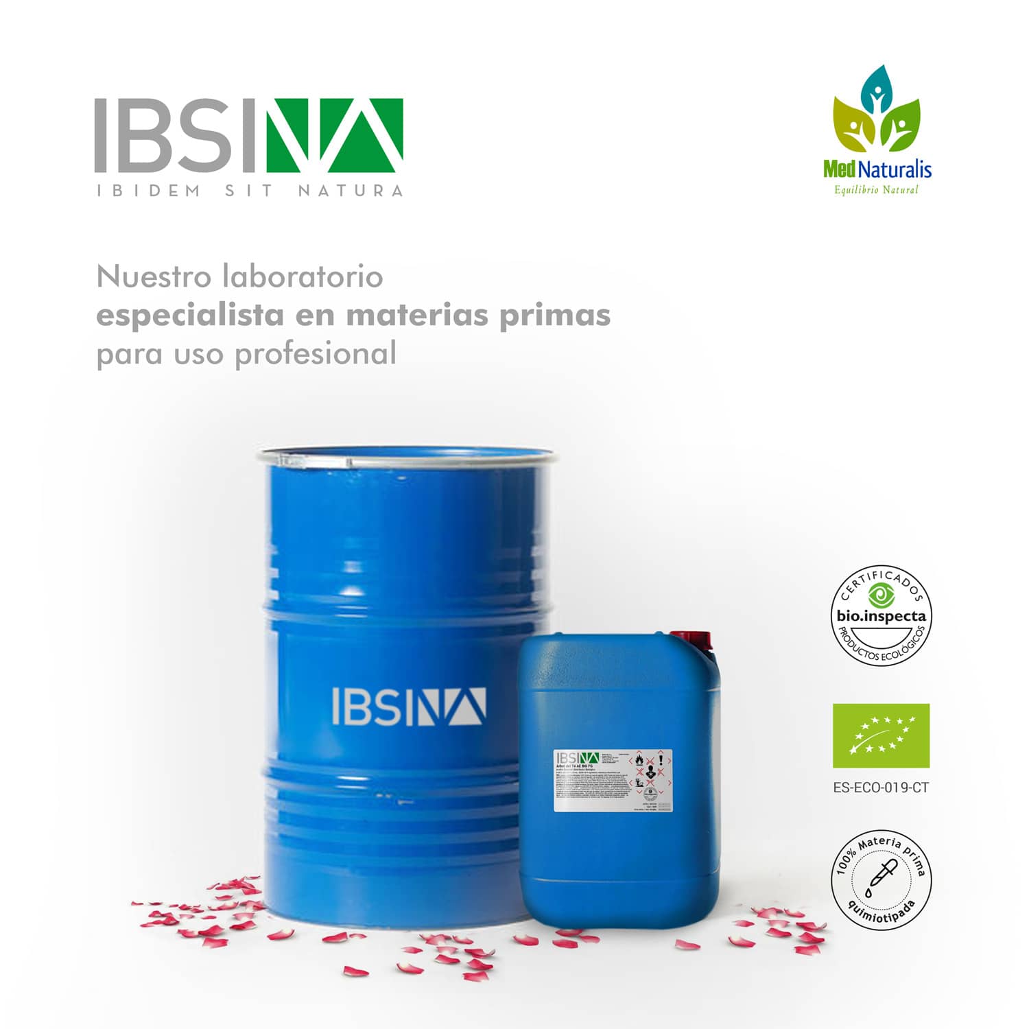 IBSINA